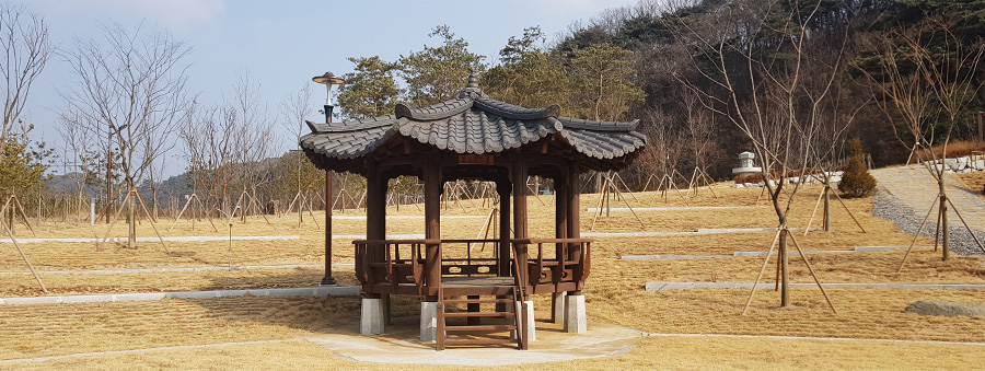 심산정